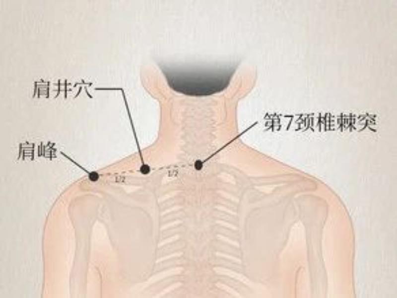 微信圖片_20250612092150.jpg